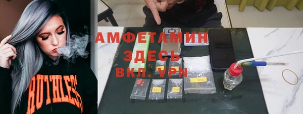 mdpv Бородино