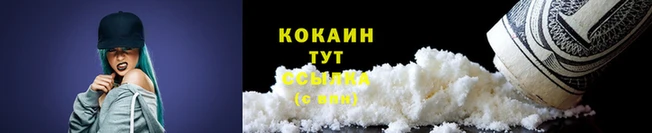 mdpv Бородино