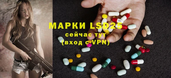 mdpv Бородино